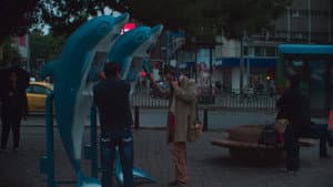 Çiçek — foto 2