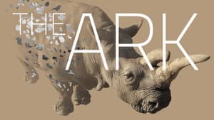 The Ark — foto 1