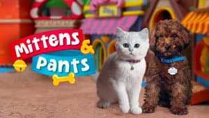 Mittens & Pants — foto 4