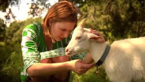 Artois the Goat — foto 1