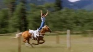 How the West Was Fun — foto 4
