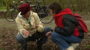 Episodio 14