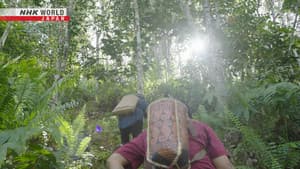 Episodio 9