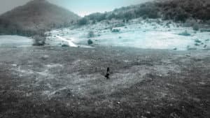 Episodio 4