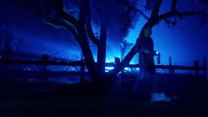 Bigfoot Killed My Wife — foto 1
