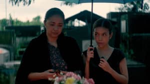 When It Rained Malunggay Leaves — foto 1