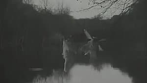 Le Printemps — foto 2