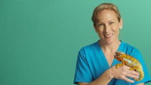 Dr. K's Exotic Animal ER — foto 9