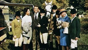 The Horse in the Gray Flannel Suit — foto 10