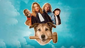 El juicio del perro — foto 1