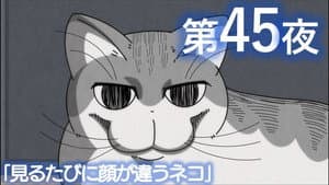 Episodio 45