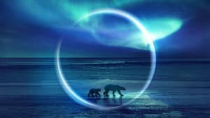 Frozen Planet II — foto 7