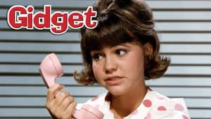 Gidget — foto 3