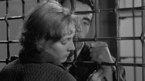 Pickpocket — foto 10