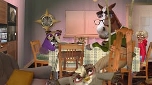 No soy un animal — foto 1