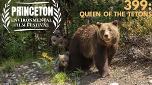 399: Queen of the Tetons — foto 4