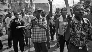 Haiti Betrayed — foto 3