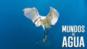 Mundos de agua — foto 1