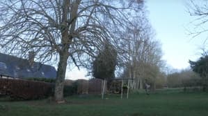 L'image manquante — foto 1