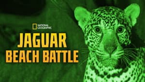 Jaguar Beach Battle — foto 5