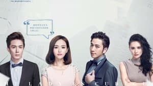 格子间女人 — foto 1