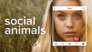 Social Animals — foto 2