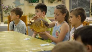 Paleontology Lesson — foto 1