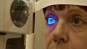 Das Auge - Forschung sehen — foto 1