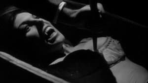 La strage dei vampiri — foto 2