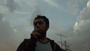 Sinvivir — foto 1