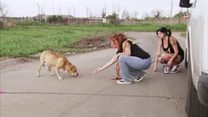 Episodio 2