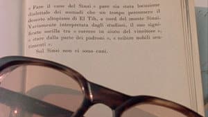 Fortini/Cani — foto 2