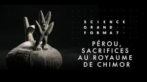 Episodio 12