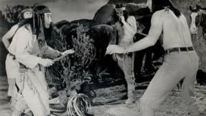Apache Warrior — foto 1