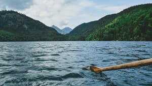 La vraie nature — foto 3