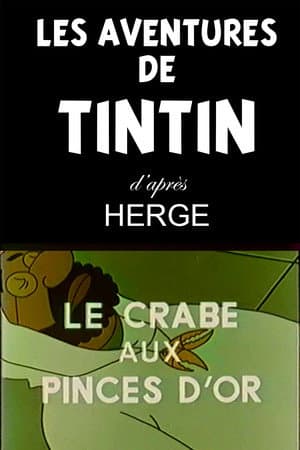 Temporada 6