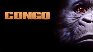 Congo — foto 7