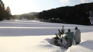 一献の系譜 — foto 1