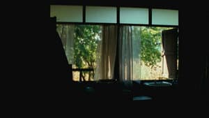 ลุงบุญมีระลึกชาติ — foto 12