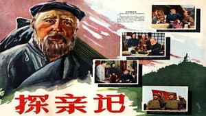 探亲记 — foto 1