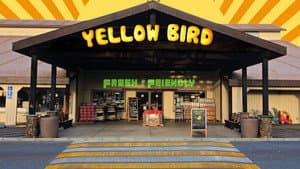 Yellow Bird — foto 2