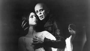 Nosferatu, el vampiro — foto 9