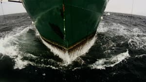 Leviathan — foto 5