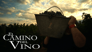 El camino del vino — foto 1