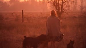 La mujer de los perros — foto 6