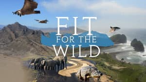 Fit for the Wild — foto 1