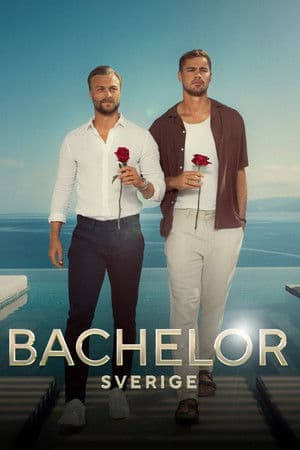 Temporada 9