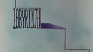 Labyrinth — foto 1