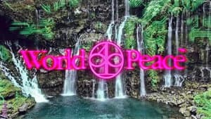 Million Dollar Extreme Presents: World Peace — foto 7
