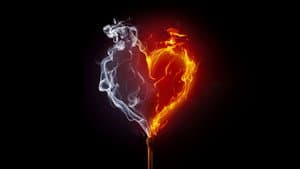 Desperately Seeking Soulmate: Escaping Twin Flames Universe — foto 2